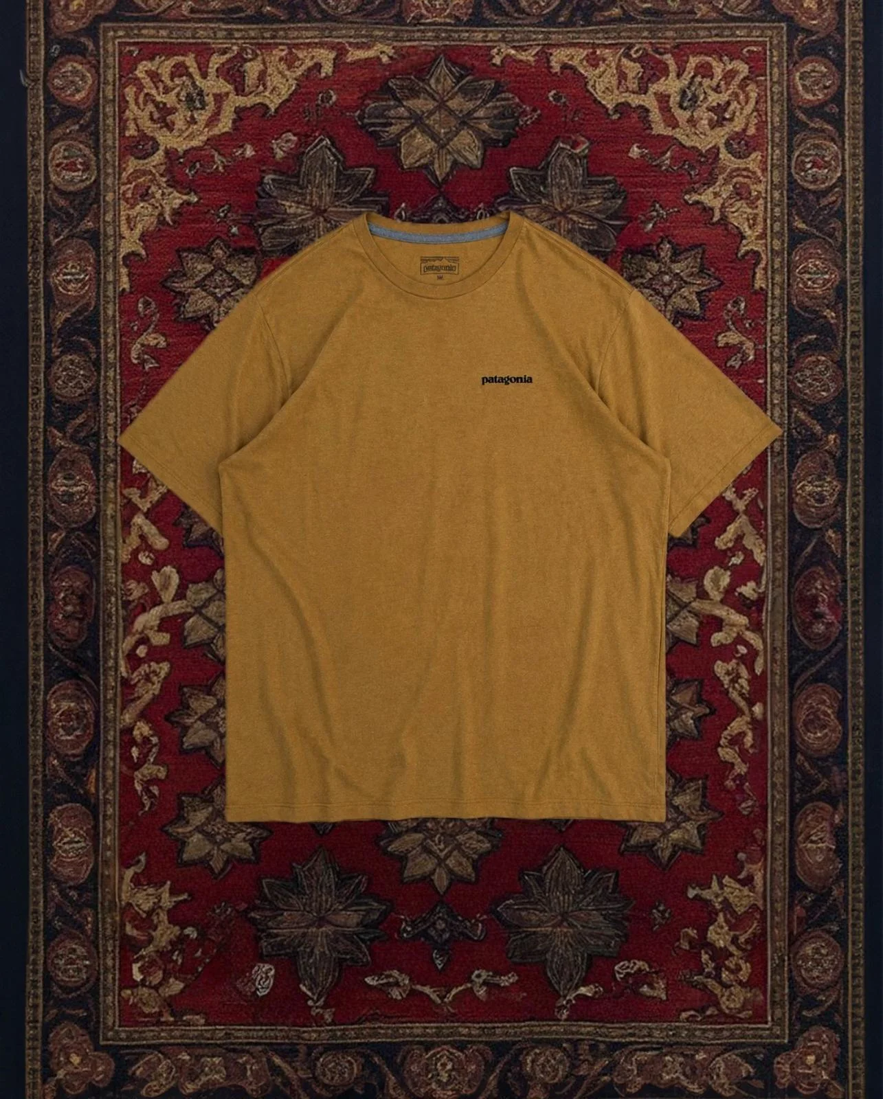 Patagonia T-shirts, size M, photo 1