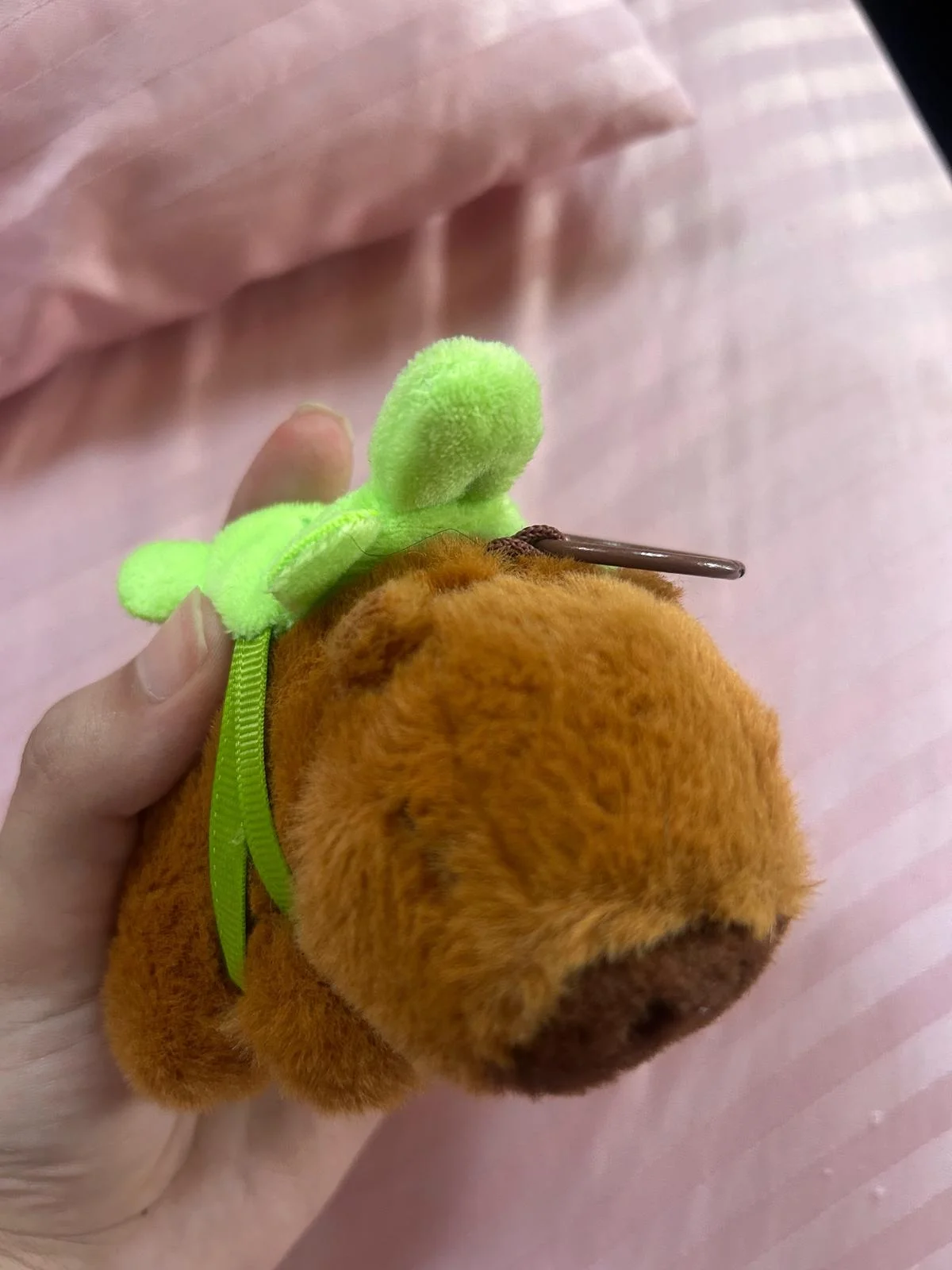 Video, size Other, photo 1