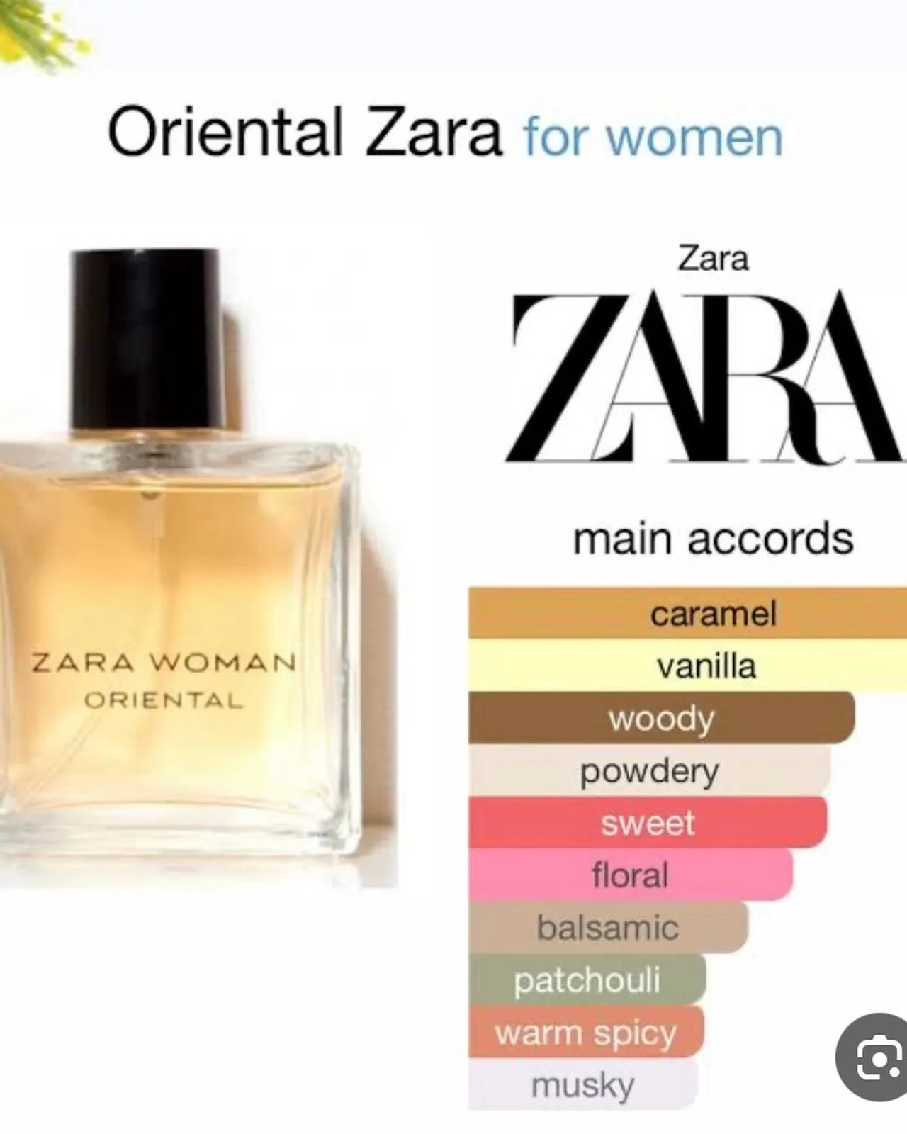 Zara Perfume, size No Size, photo 1