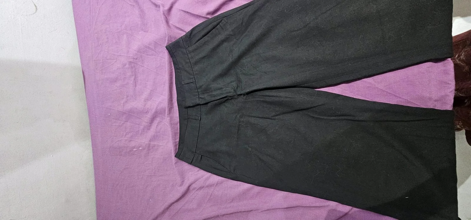 Zara Pants, size L / 40 / 12, photo 1