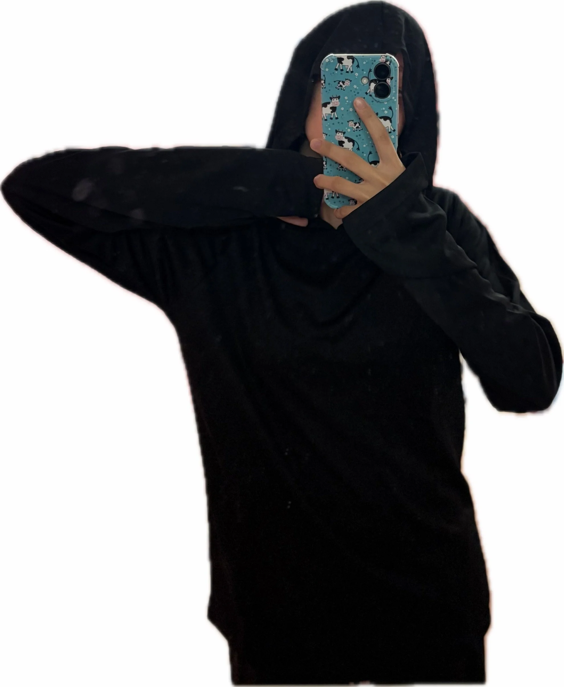 Local Hoodies, size S / 36 / 8, photo 1