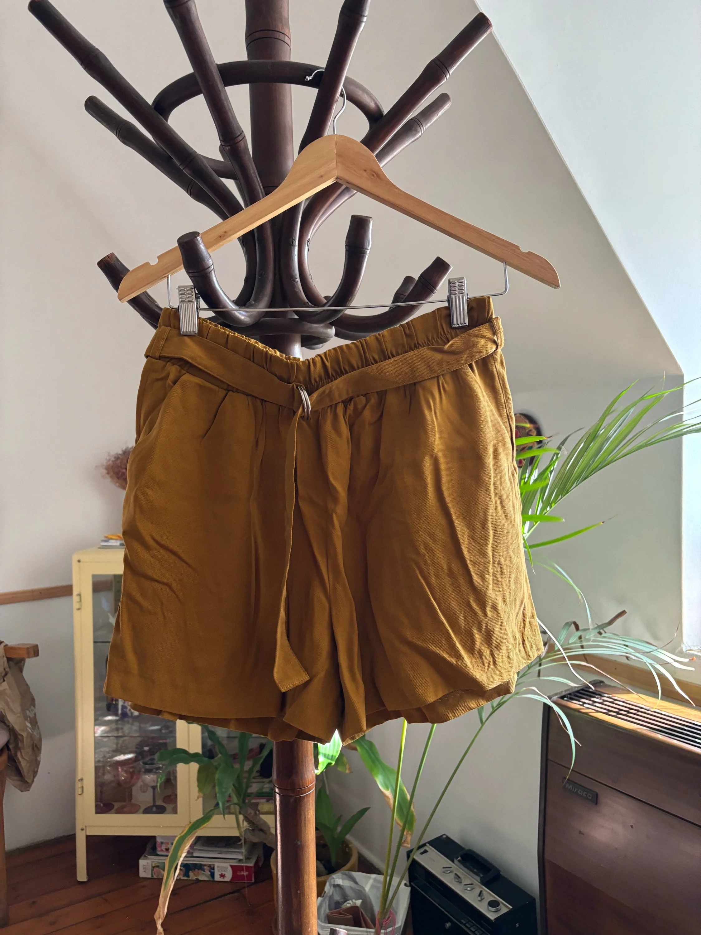 Zara Shorts, size M / 38 / 10, photo 1