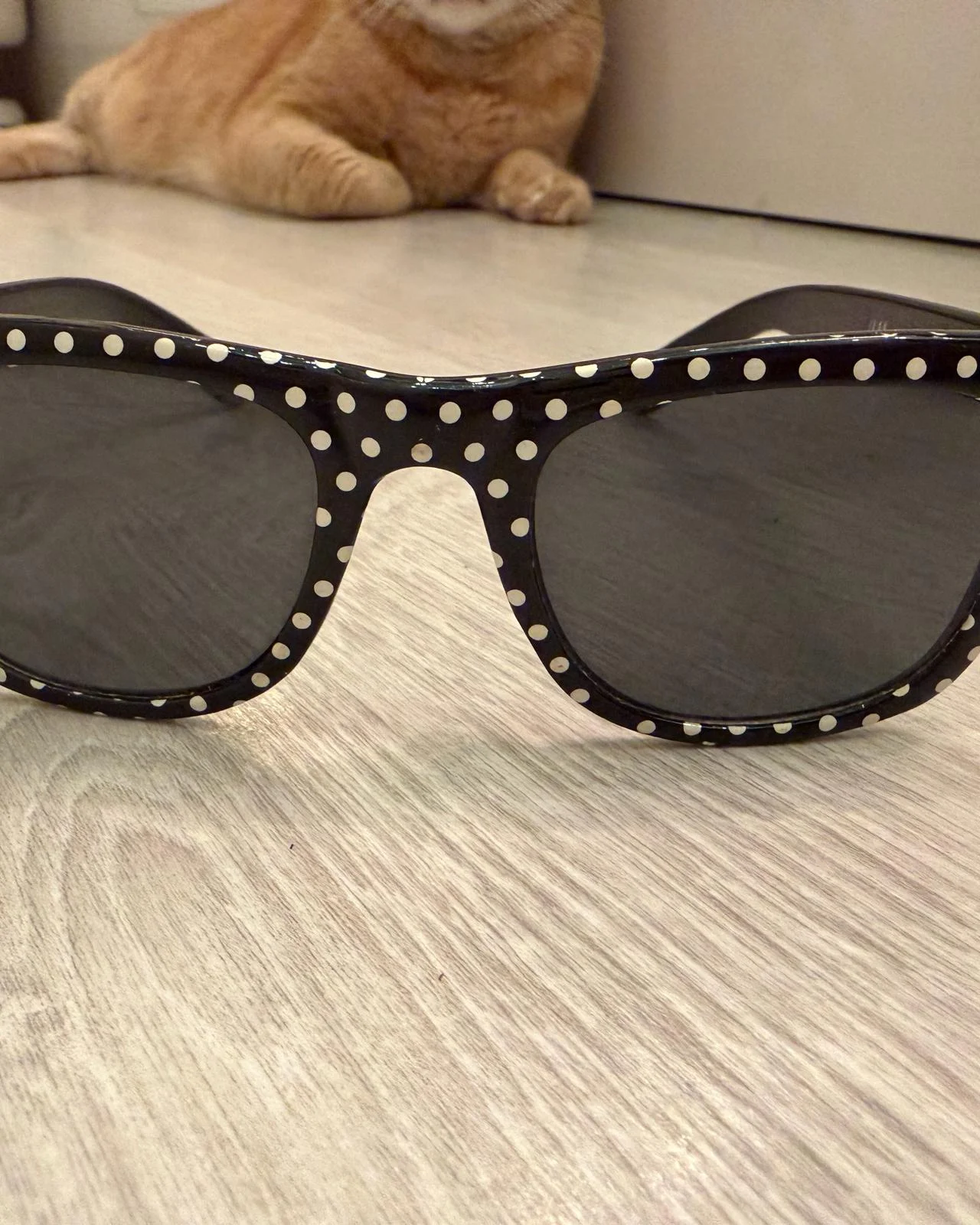 Sunglasses, size One size, photo 1