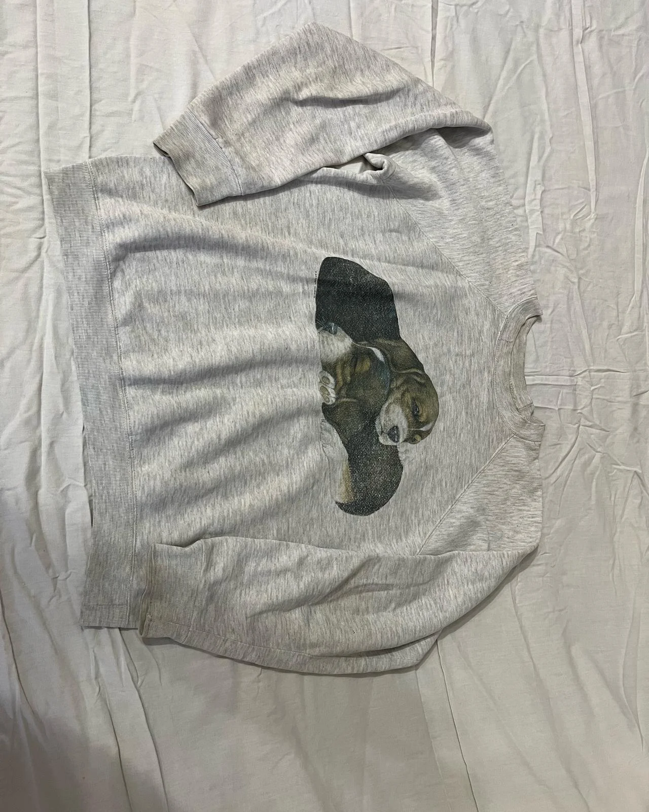 Sweatshirts, size M / 38 / 10, photo 1