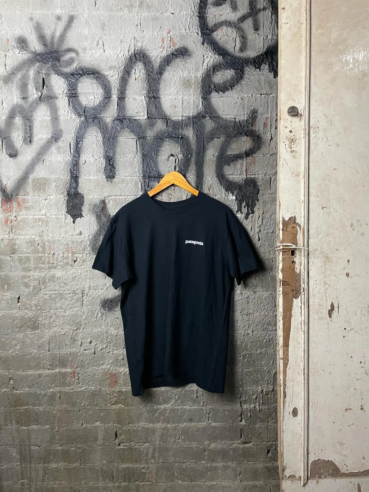 Patagonia T-shirts, size L, photo 1