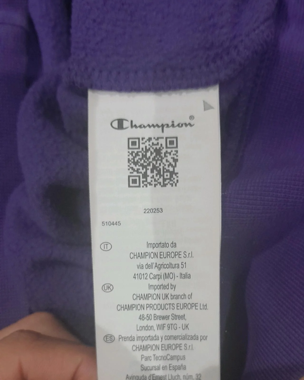 Champion Hoodies, size M, photo 1