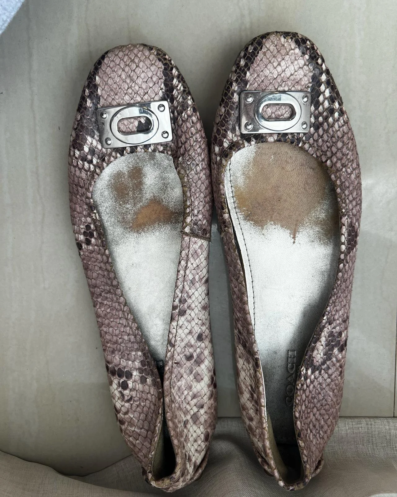 Coach Flats, size 41, photo 1