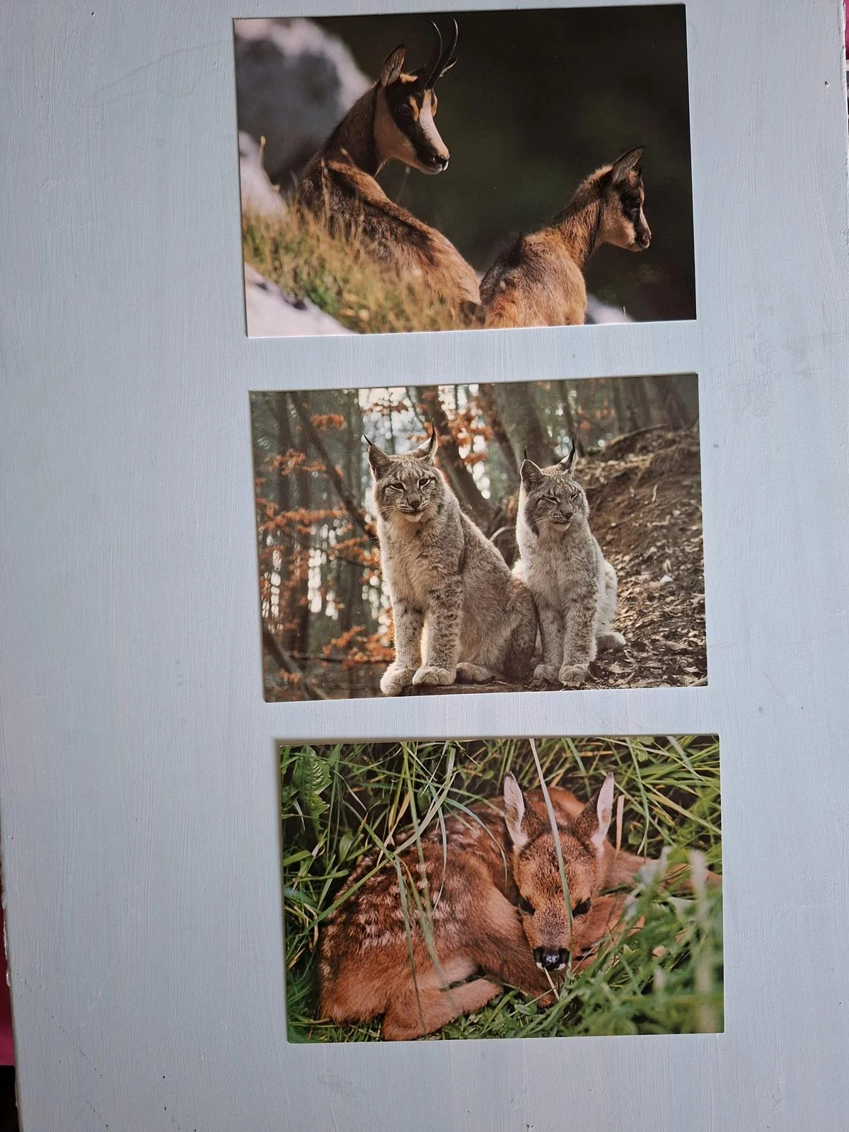 Books, size Other, photo 1