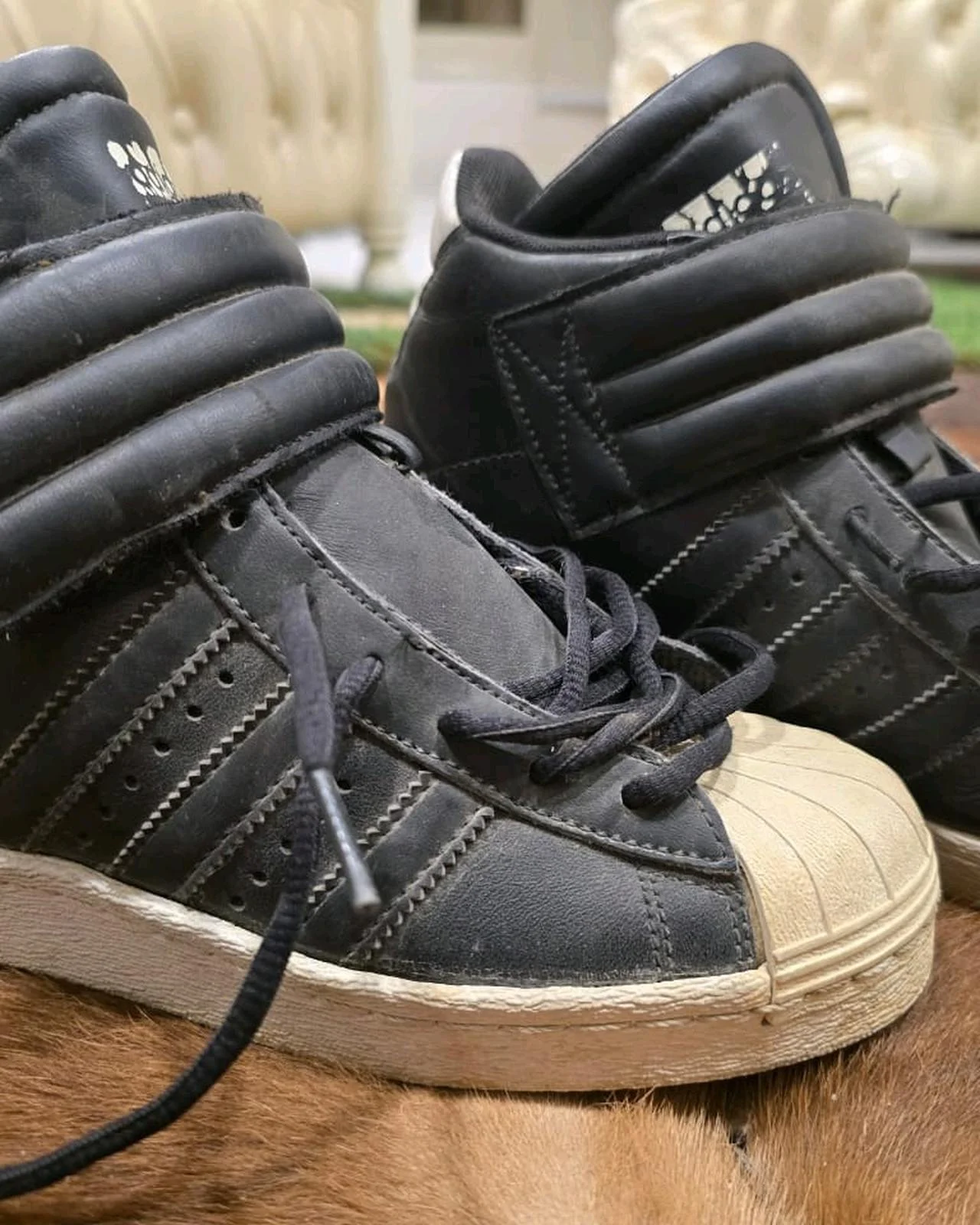 adidas Sneakers, size 36, photo 1