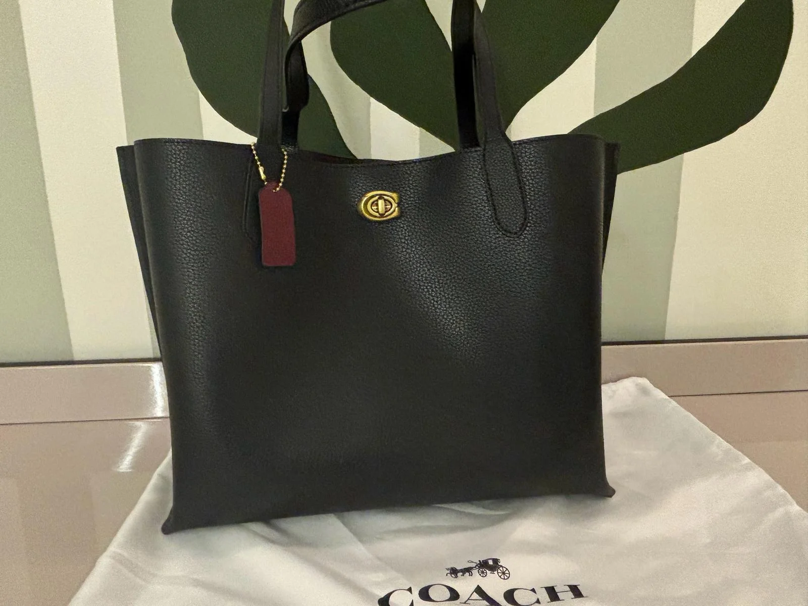 Coach Tote Bag, size Other, photo 1