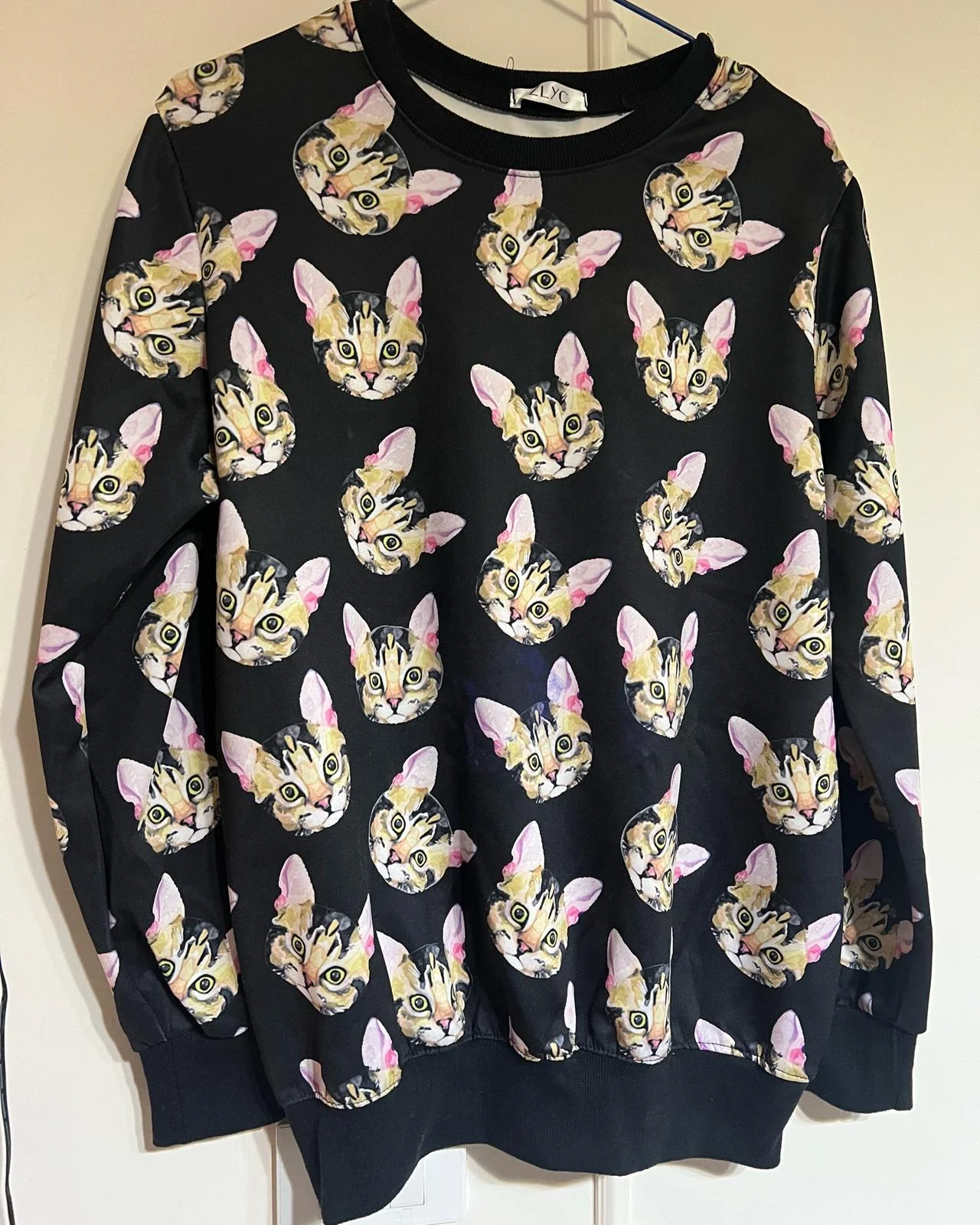 Sweatshirts, size L / 40 / 12, photo 1