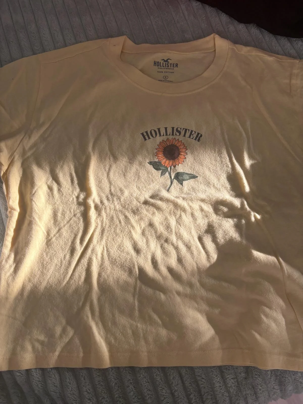 Hollister T-shirts, size S / 36 / 8, photo 1