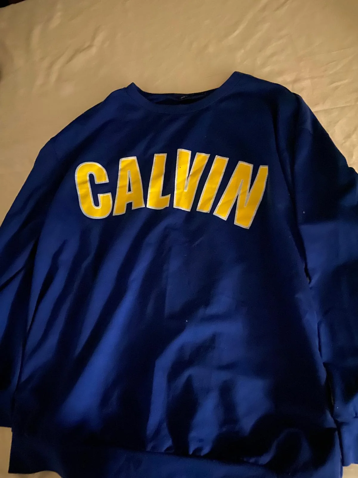 Sweatshirts, size L, photo 1