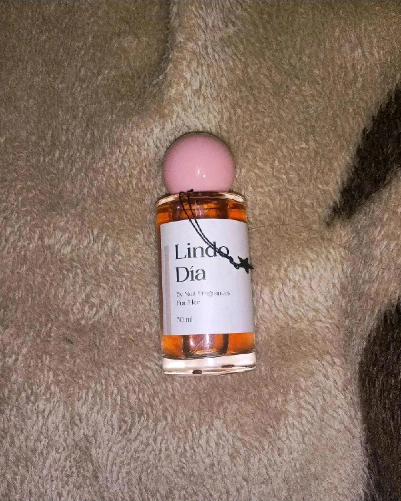 Perfume, size No Size, photo 1