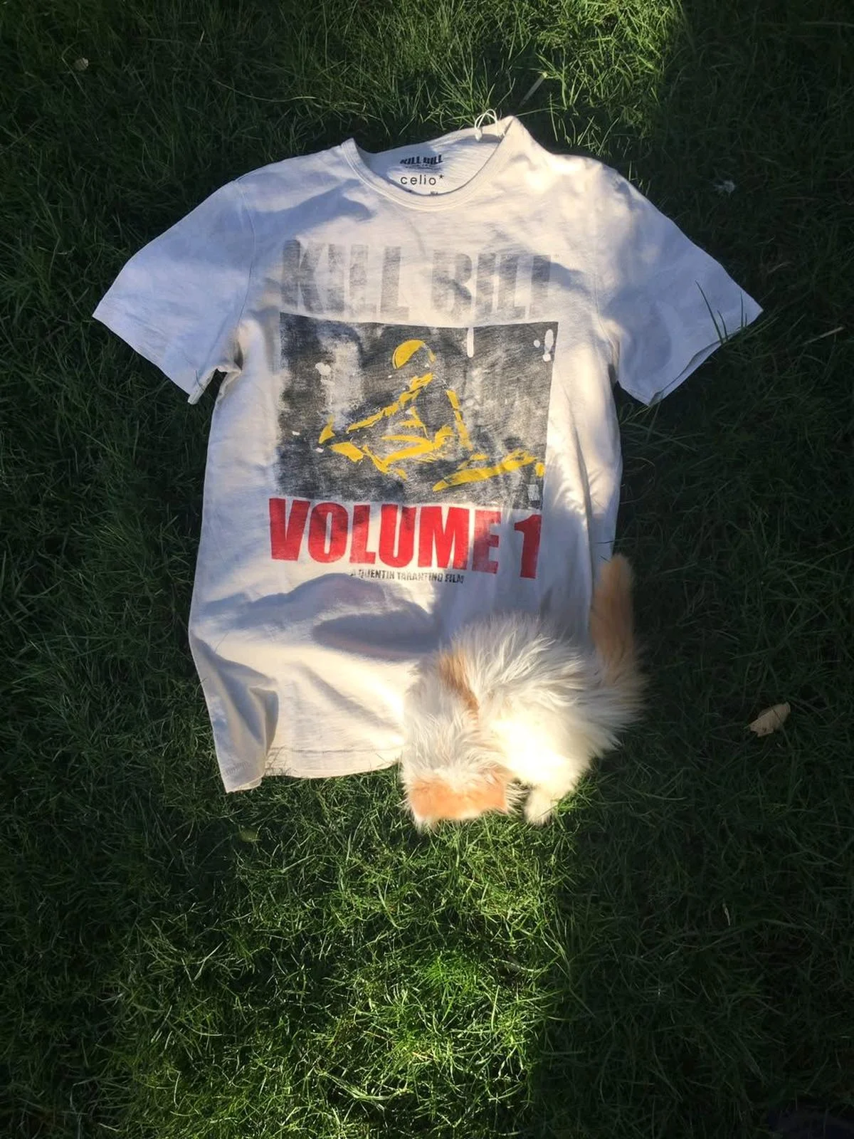 Celio T-shirts, size M, photo 1